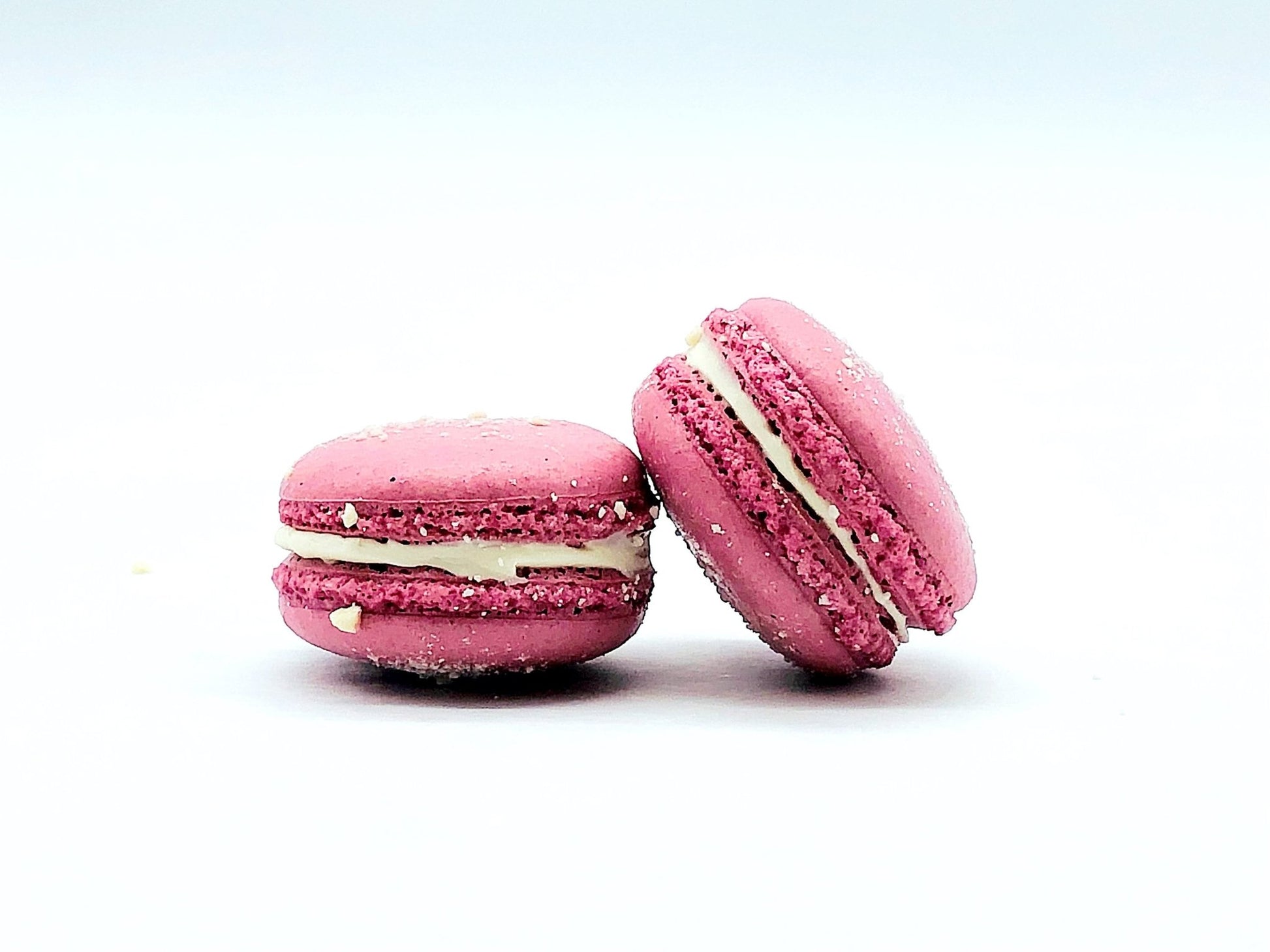 Cranberry Sauce French Macarons | Perfect for your next celebratory events. - Macaron Centrale12 pack
