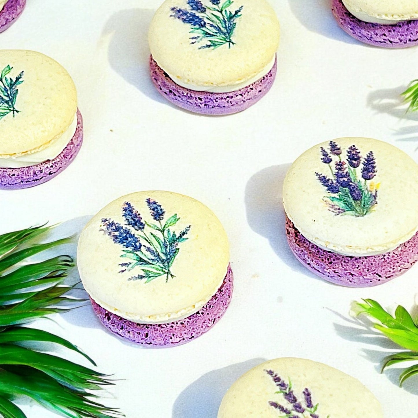 Customizable Lavender French Macarons Set - Macaron Centrale6 Pack