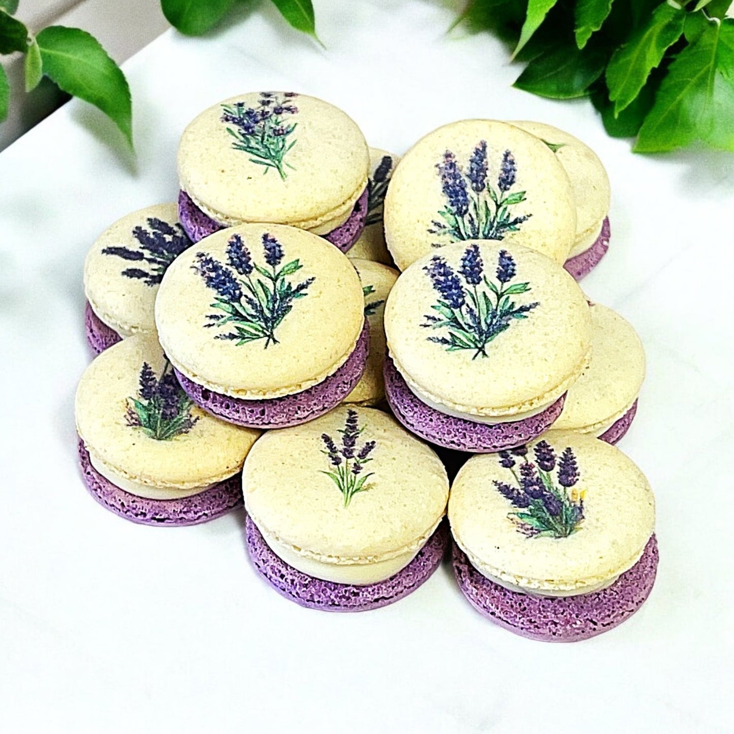 Customizable Lavender French Macarons Set - Macaron Centrale6 Pack