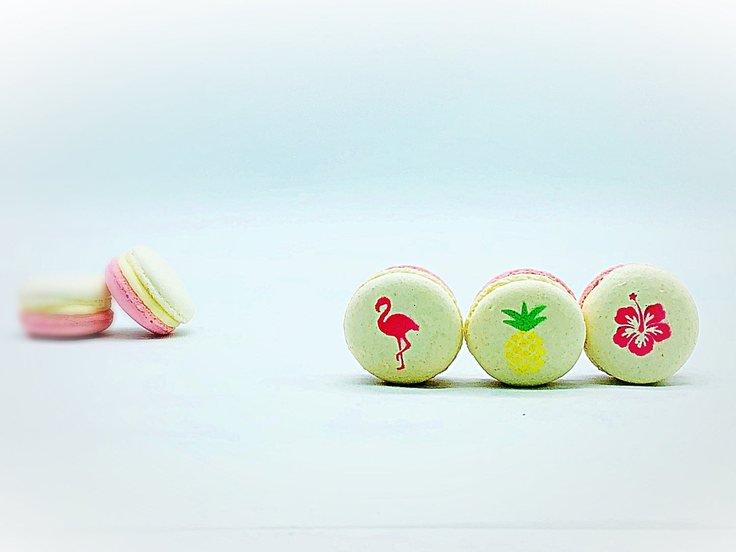 French Macaron Flamingo Luau Set | Available in 6 or 12 Pack - Macaron Centrale6 pack