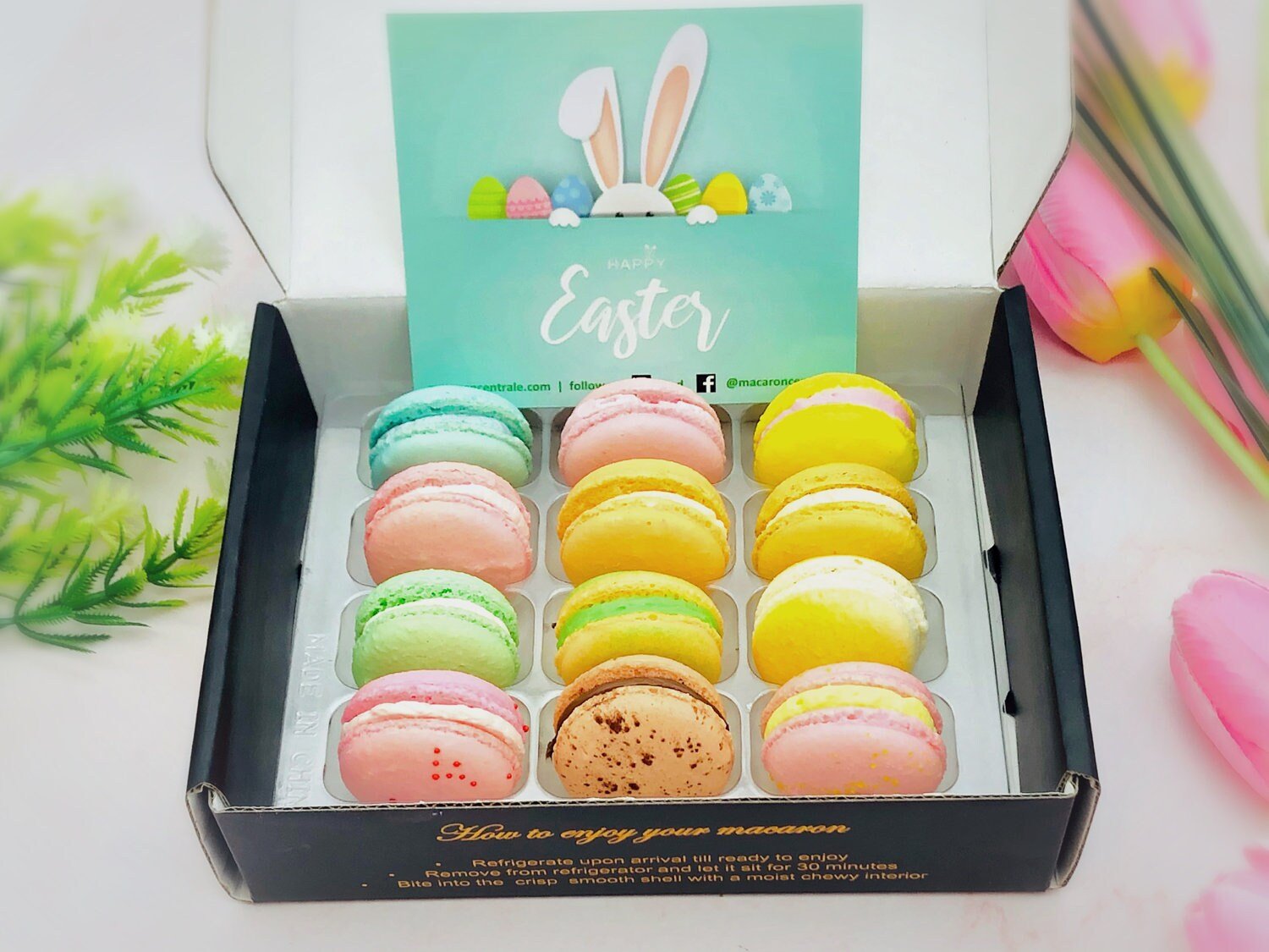 French Macaron Pastel Color Set | 12 Pack, 12 Different Pastel Shade of Deliciousness - Macaron Centrale