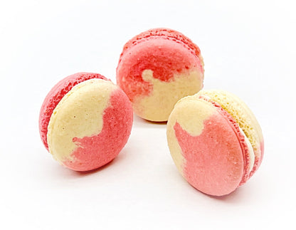 Fruity Chocolate | White Chocolate Berries | Available in 6 , 12 & 24 Pack - Macaron Centrale6 Pack