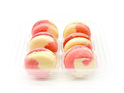 Fruity Chocolate | White Chocolate Berries | Available in 6 , 12 & 24 Pack - Macaron Centrale6 Pack