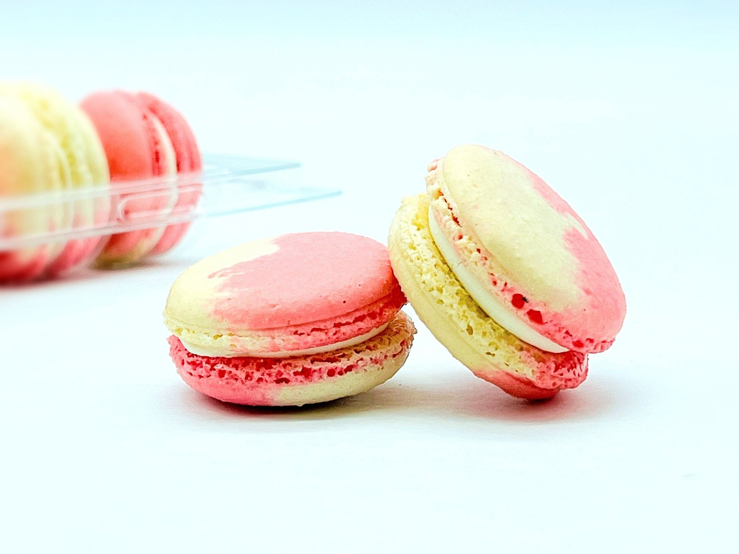 Fruity Chocolate | White Chocolate Berries | Available in 6 , 12 & 24 Pack - Macaron Centrale6 Pack