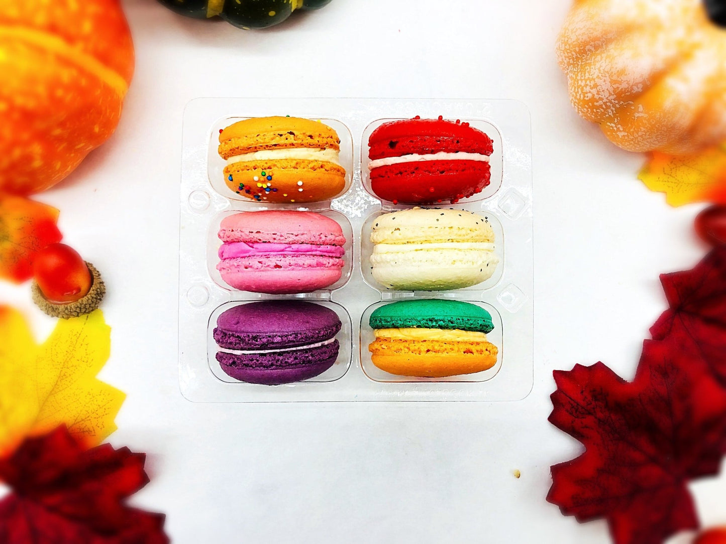 Give Thanks! Surprise Me Set | 6 French Macaron Value Pack - Macaron Centrale