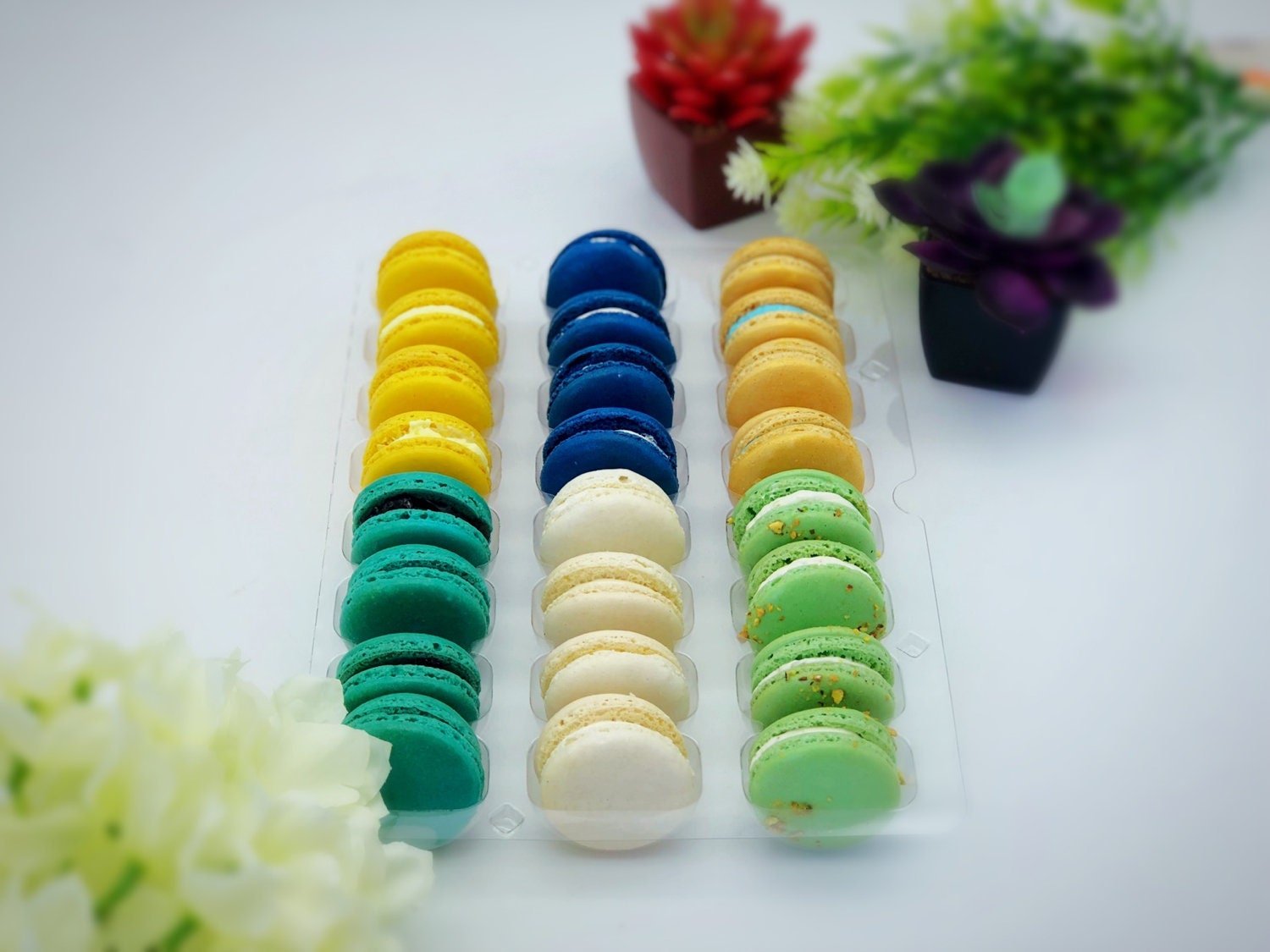 Gluten free macarons. Gender reveal party! It's a boy. - Macaron Centrale6 pack