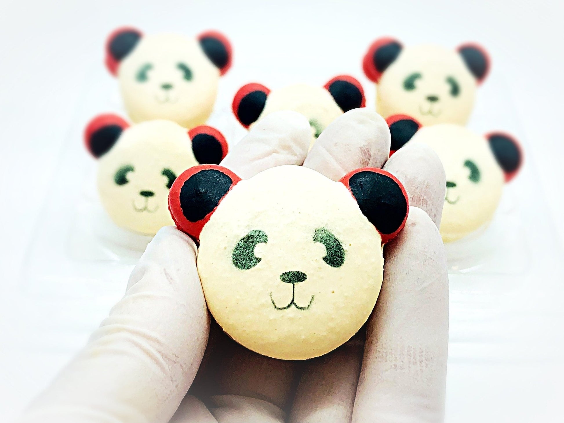 Happy Panda Macarons | Handmade & Free Shipping - Macaron Centrale4 Pack