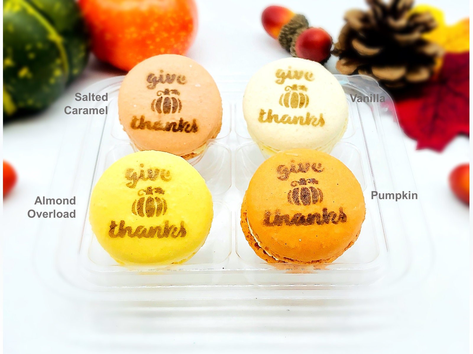 Happy Thanksgiving Airbrushed French Macarons - Macaron CentraleVanilla6 Pack
