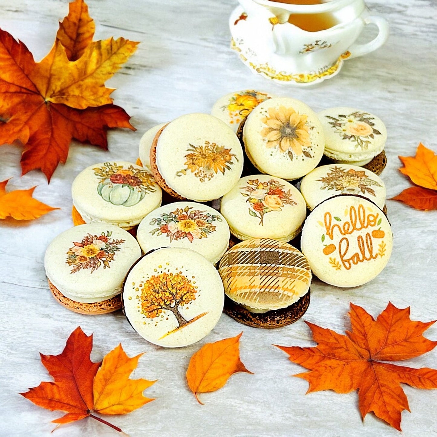 Harvest Dream Vibe - 36 Pack Macaron Collection - Macaron CentraleFall