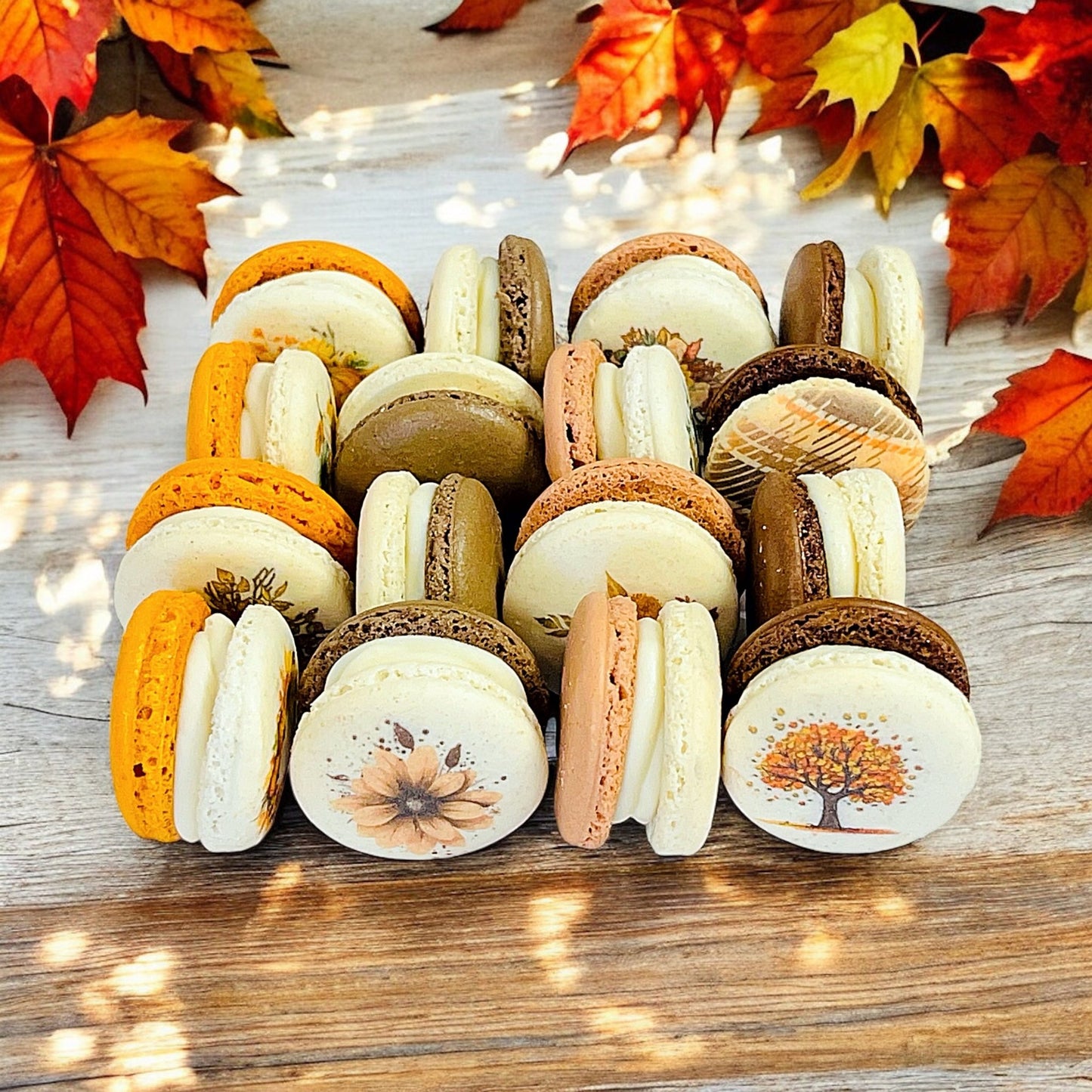 Harvest Dream Vibe - 36 Pack Macaron Collection - Macaron CentraleFall