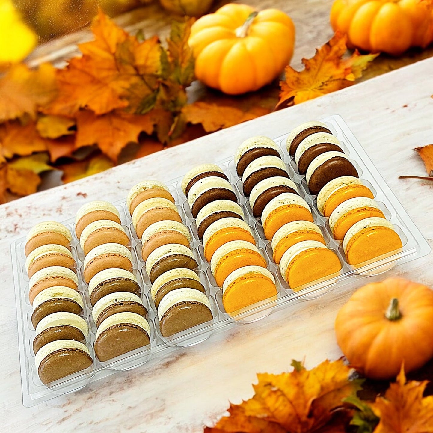 Harvest Dream Vibe - 36 Pack Macaron Collection - Macaron CentraleFall