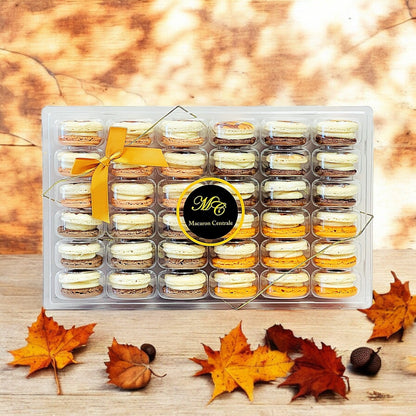 Harvest Dream Vibe - 36 Pack Macaron Collection - Macaron CentraleFall