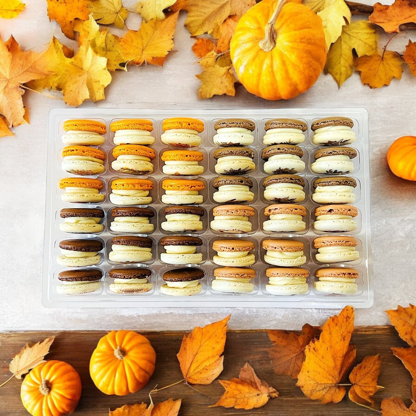 Harvest Dream Vibe - 36 Pack Macaron Collection - Macaron CentraleFall