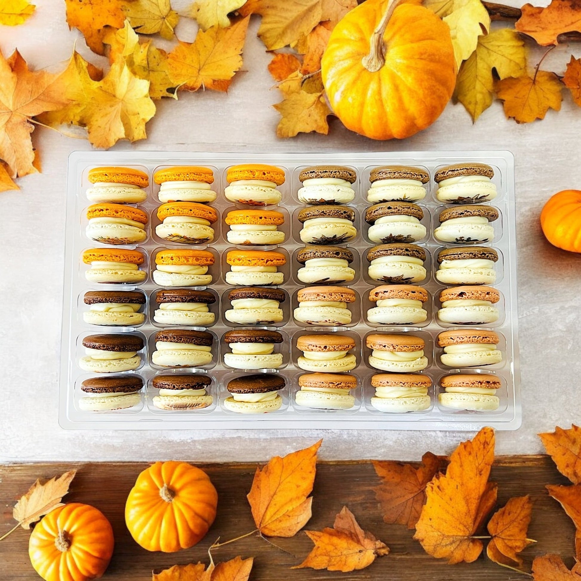 Harvest Dream Vibe - 36 Pack Macaron Collection - Macaron CentraleFall