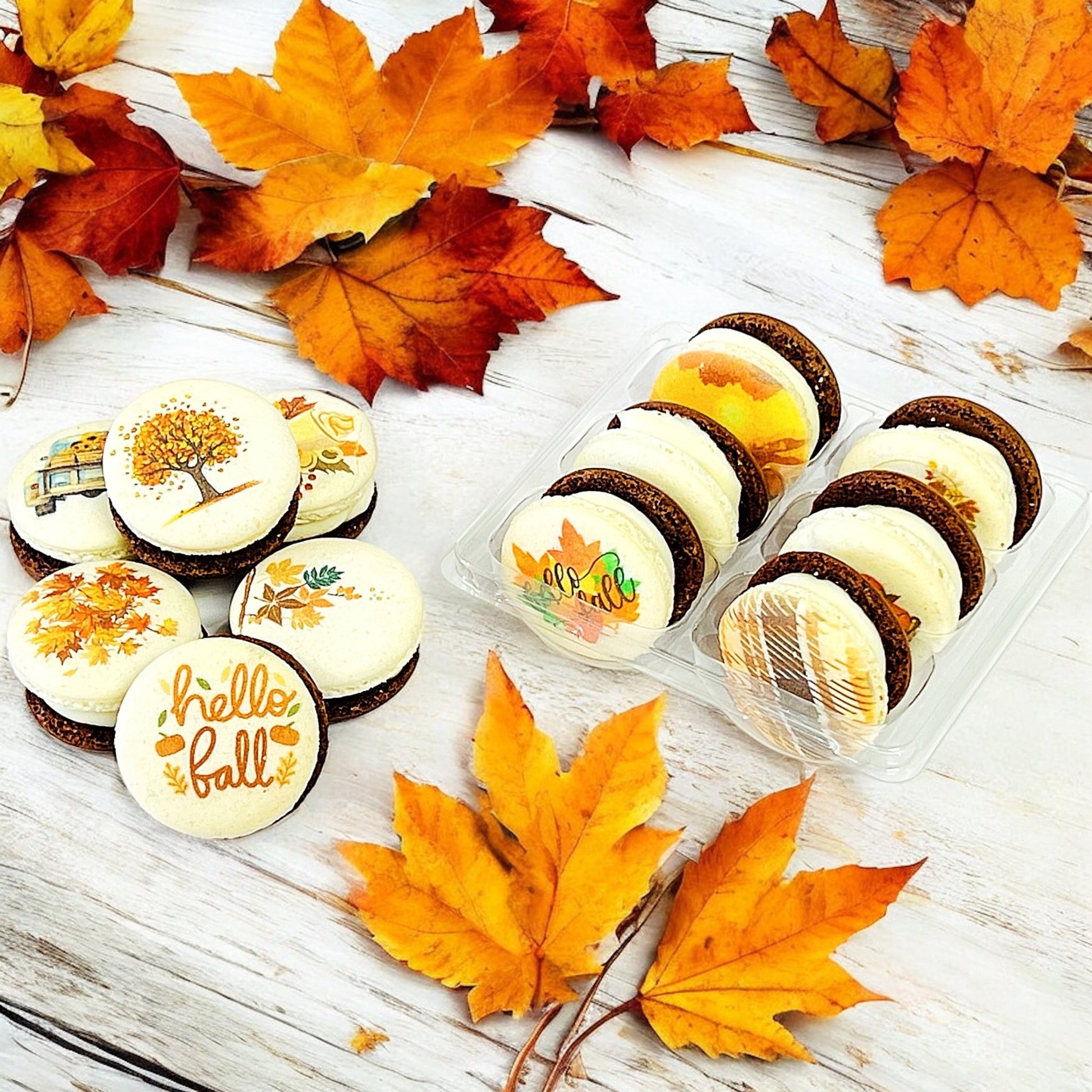 Harvest Dreams Collection | Cocoa Harvest Delight French Macarons - Macaron CentraleFall6 Pack