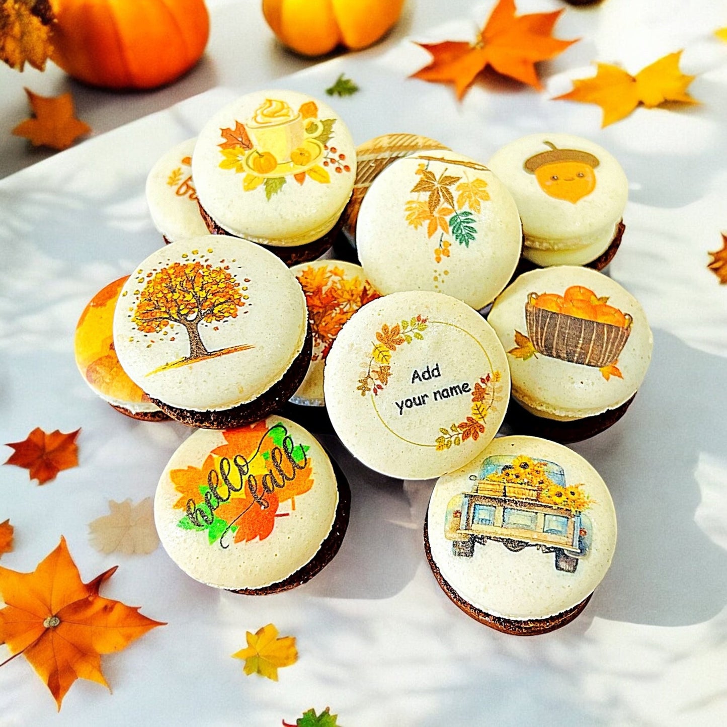 Harvest Dreams Collection | Cocoa Harvest Delight French Macarons - Macaron CentraleFall6 Pack