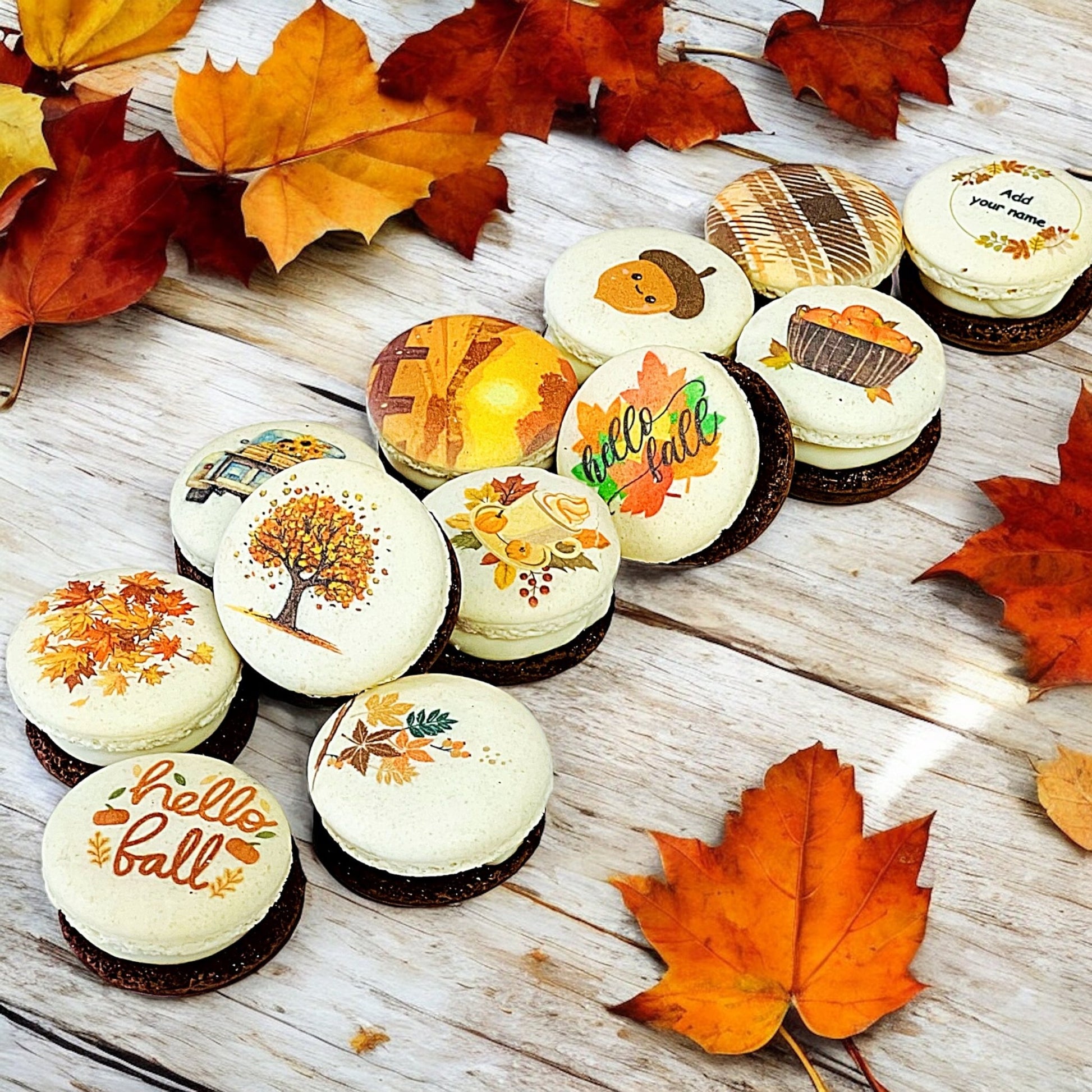 Harvest Dreams Collection | Cocoa Harvest Delight French Macarons - Macaron CentraleFall6 Pack