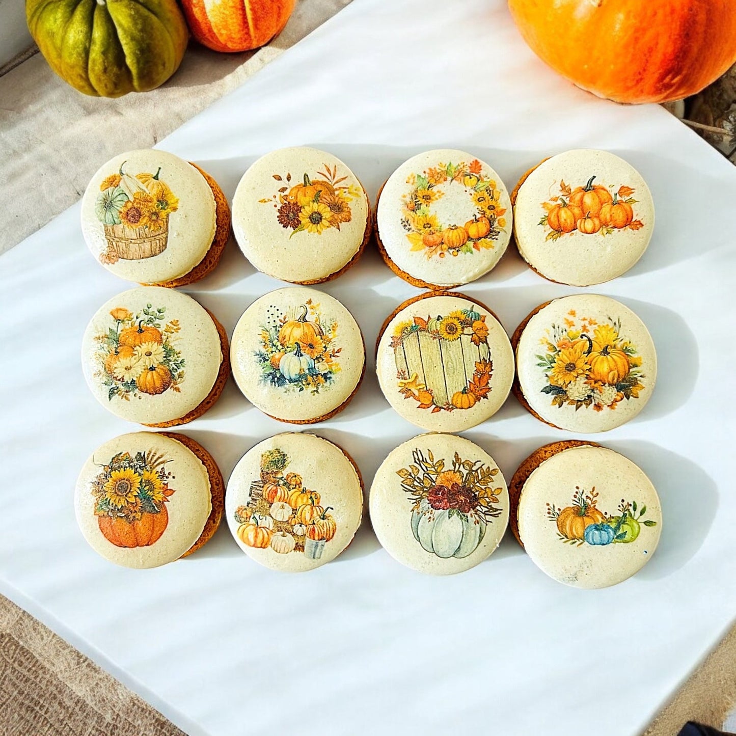 Harvest Dreams Collection | Pumpkin Patch Delight French Macarons - Macaron CentraleFall6 Pack