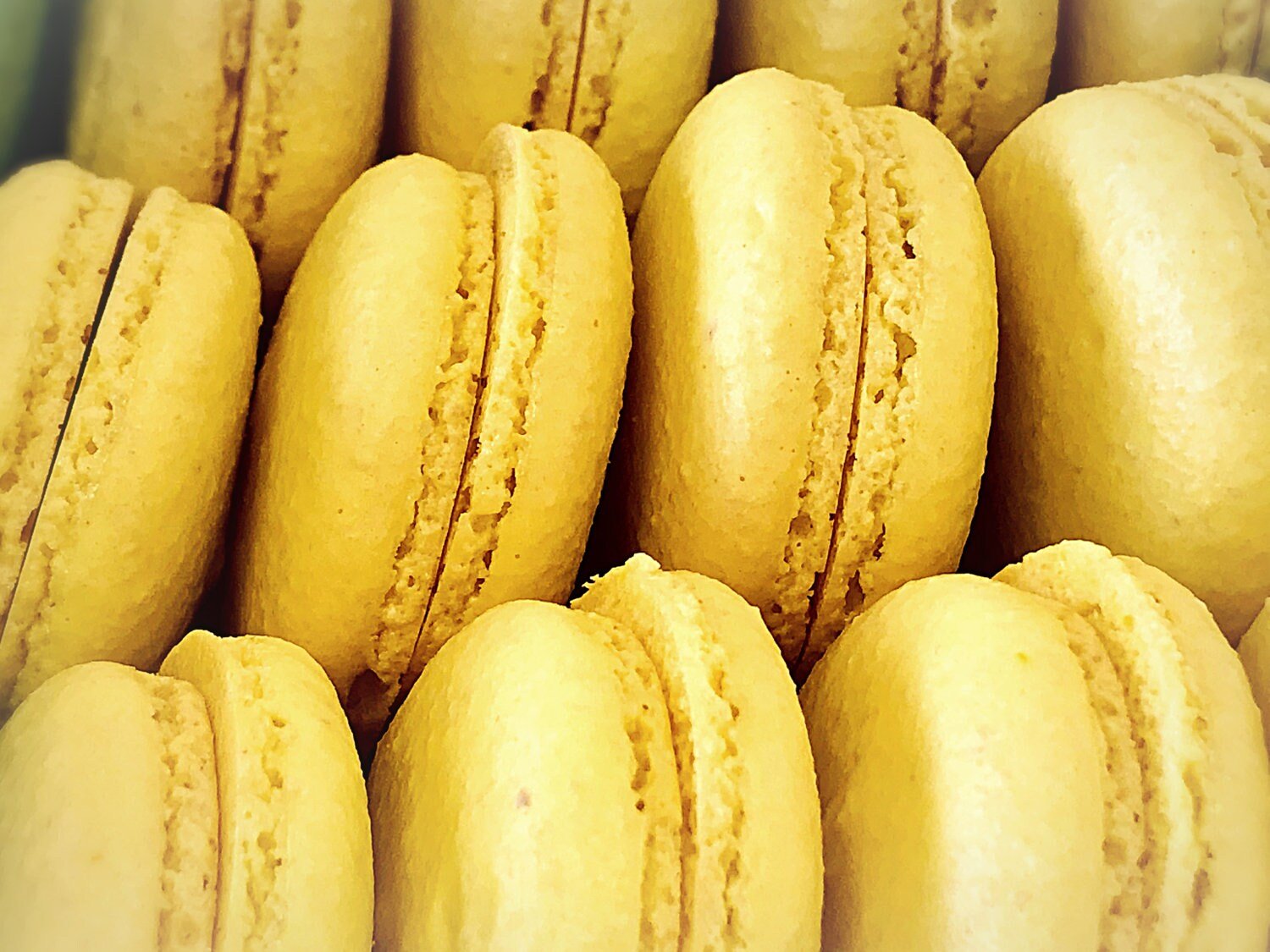 Lemon Yellow French Macaron Shell | Perfect for Cake Decorators or Your Dessert DIY Project - Macaron Centrale6 Pairs