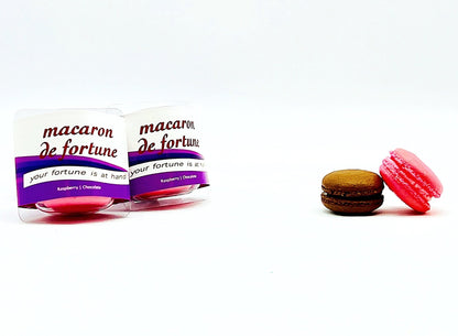 Macaron de Fortune | Fortune (French) Cookies | Raspberry & Chocolate Macarons - Macaron Centrale2 Set