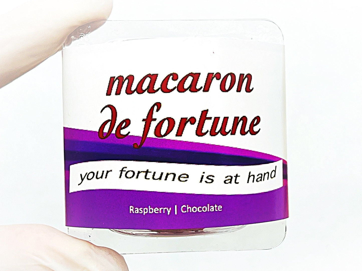 Macaron de Fortune | Fortune (French) Cookies | Raspberry & Chocolate Macarons - Macaron Centrale2 Set