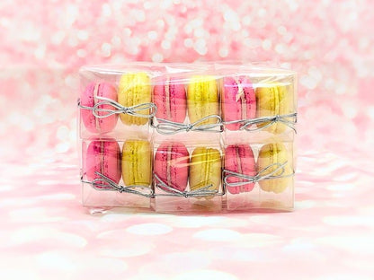 Macaron Gift Favors 2 Macarons - A Perfect Gift For Wedding/Birthday/Events/Parties - Macaron Centrale6 Pack