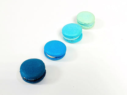 Ombre Blue Macaron Collection - Macaron Centrale16 Pack