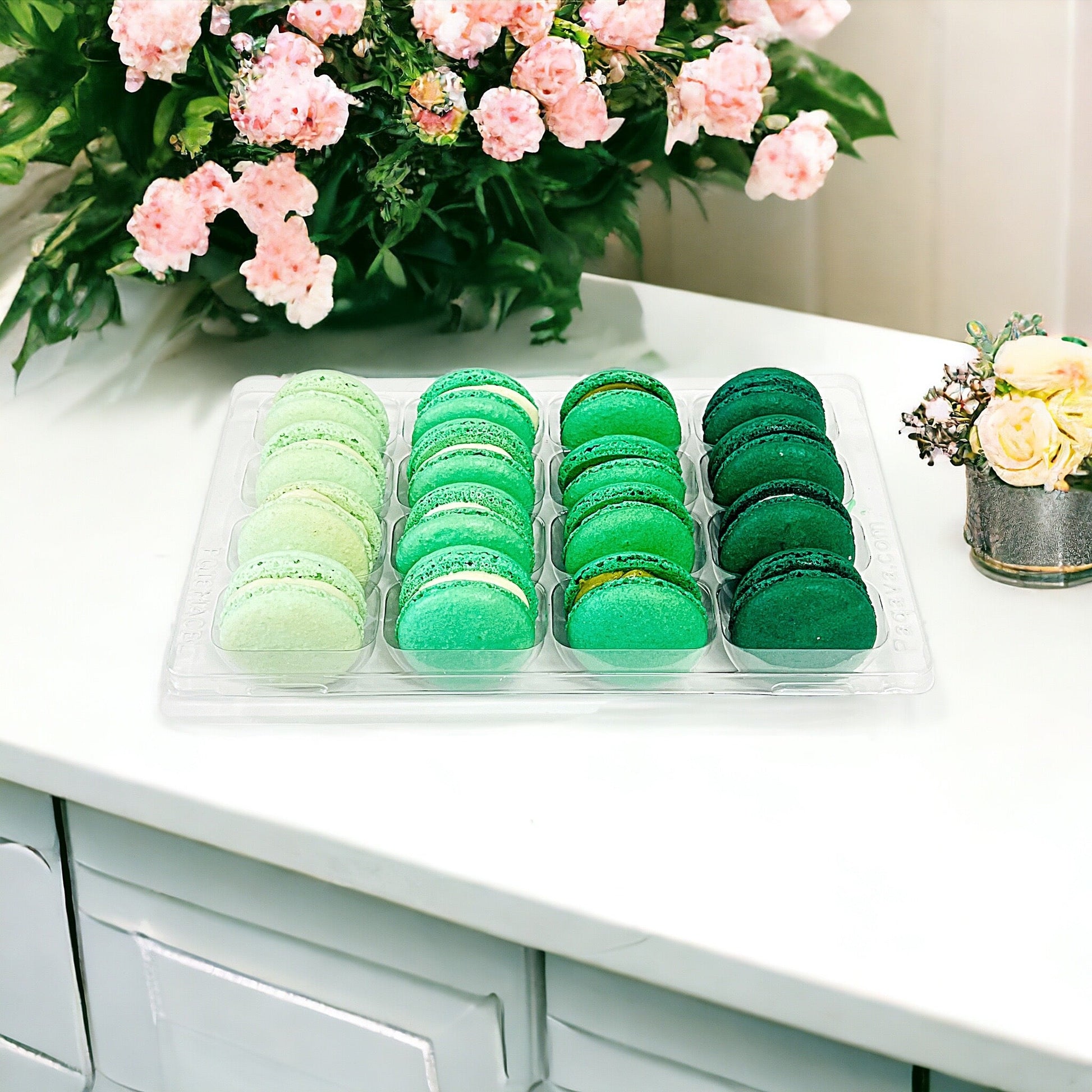 Ombre Green Macaron Collection - Macaron Centrale16 Pack