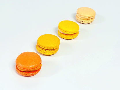 Ombre Orange Macaron Collection - Macaron Centrale16 Pack