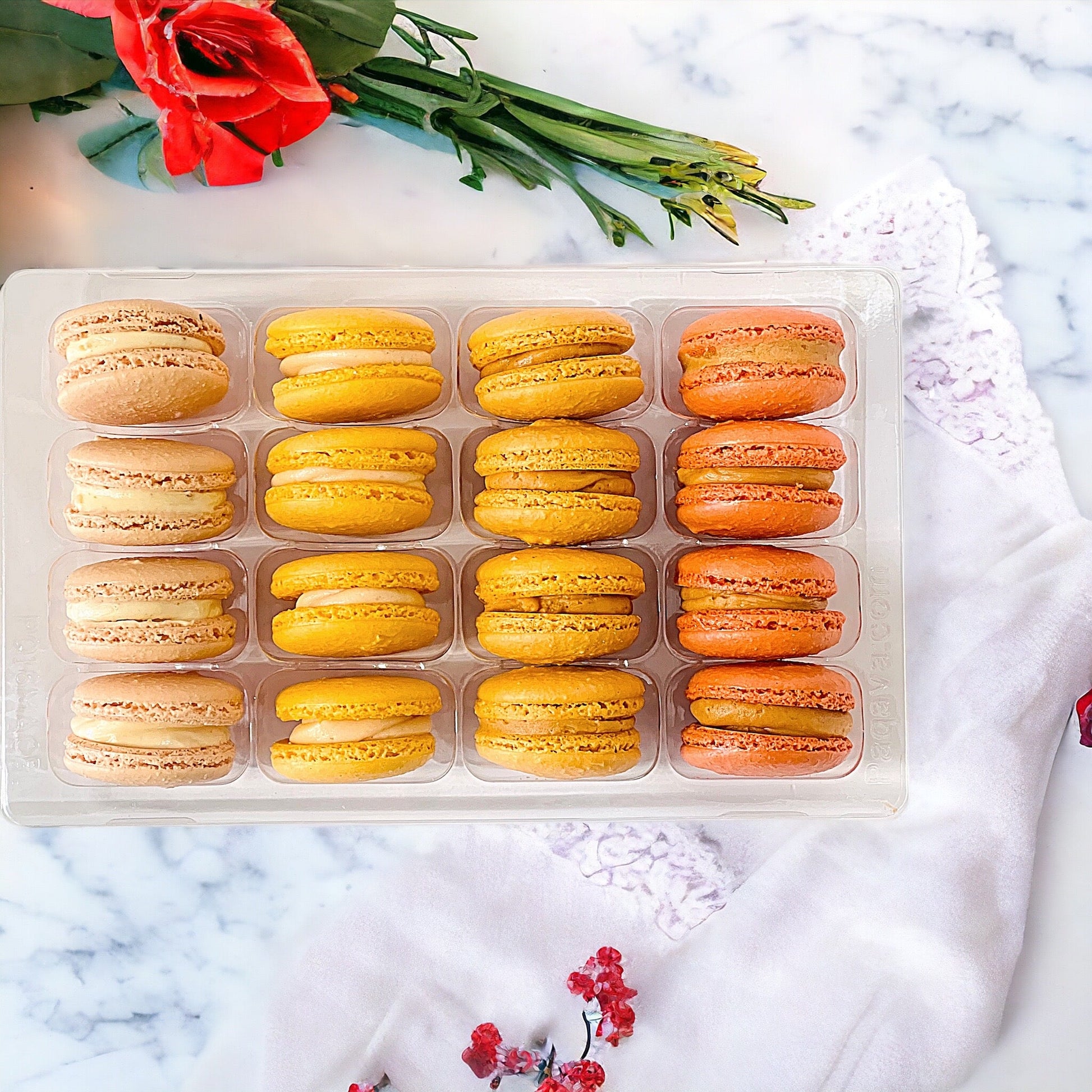 Ombre Orange Macaron Collection - Macaron Centrale16 Pack