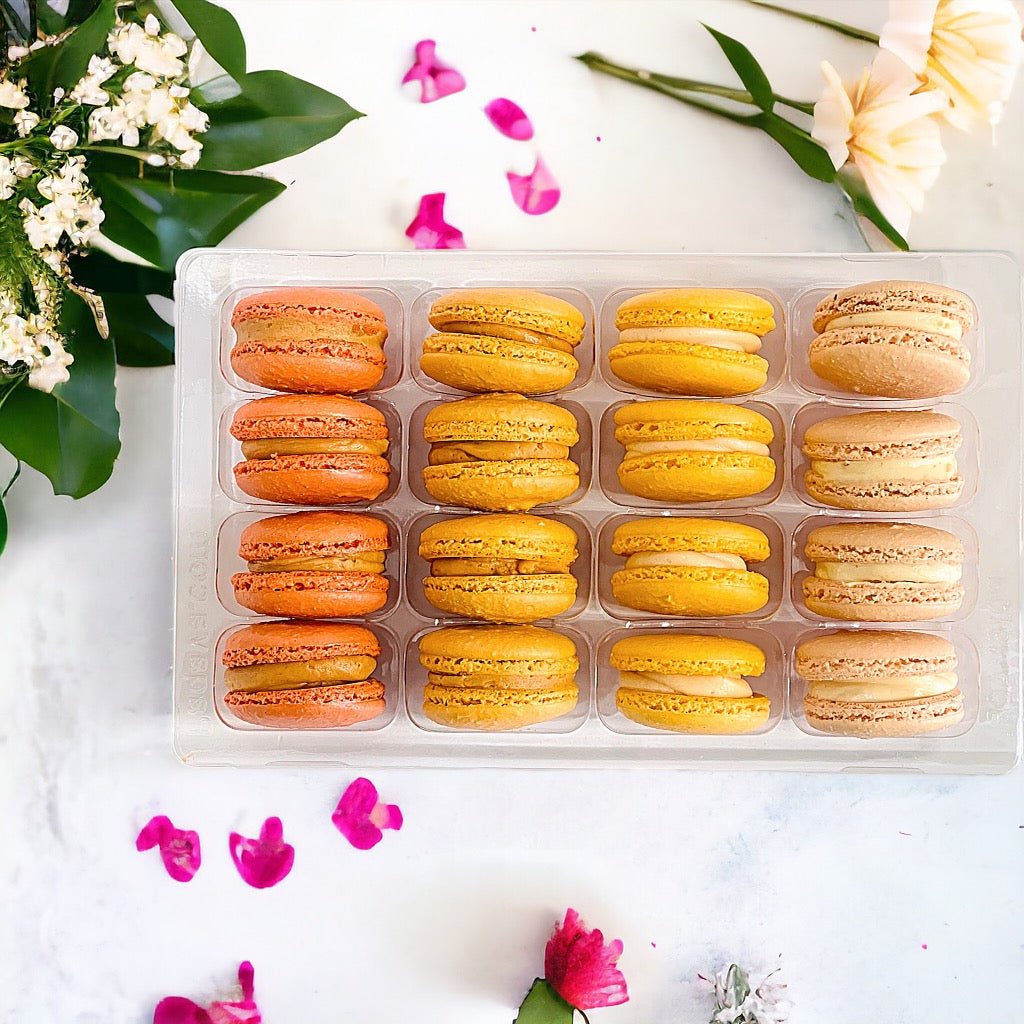 Ombre Orange Macaron Collection - Macaron Centrale16 Pack