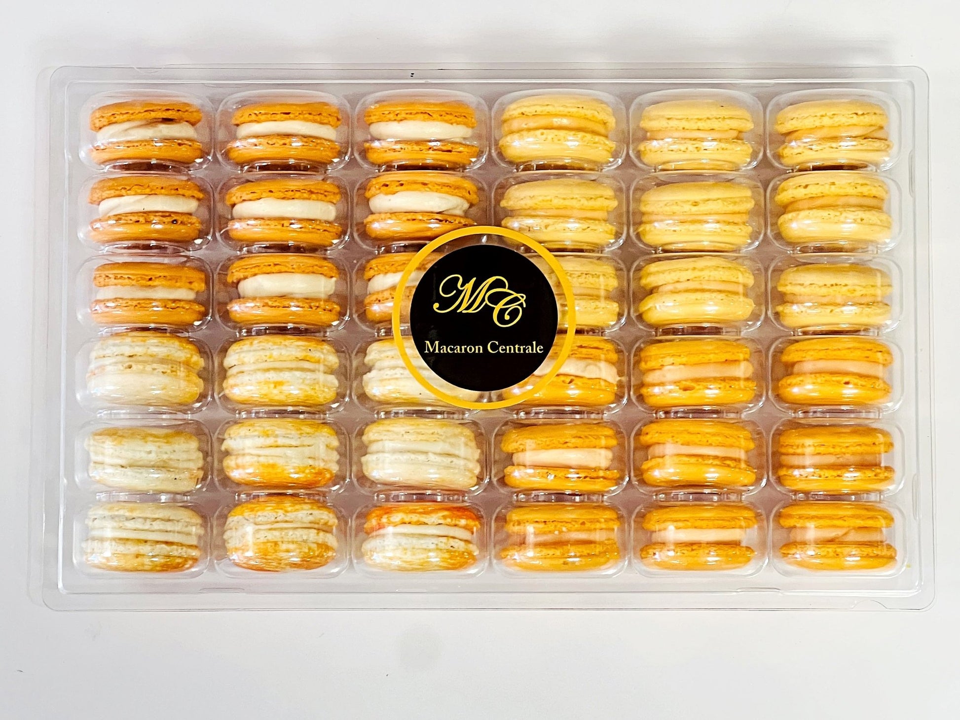 Orange Vibe: A Flavorful Quartet of French Macarons in One Set | 36 Pack - Macaron Centrale6 Pack