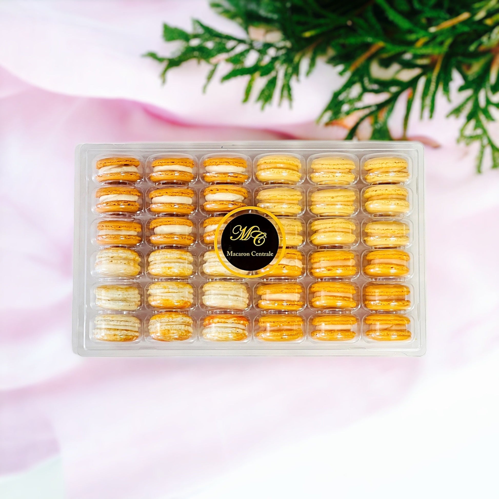 Orange Vibe: A Flavorful Quartet of French Macarons in One Set | 36 Pack - Macaron Centrale6 Pack