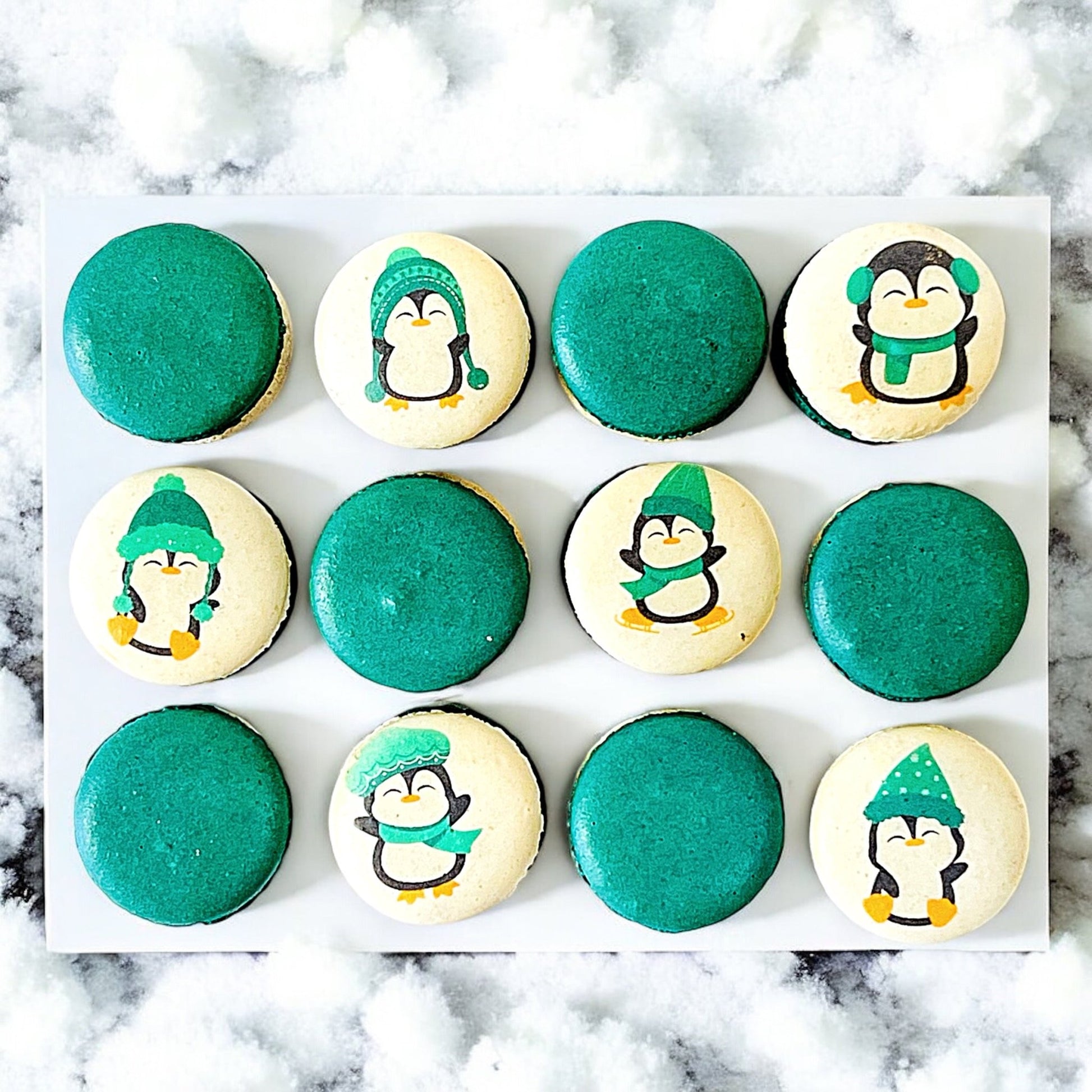 Penguin Winter Macaron Set - Green and White - Macaron Centrale6 Pack