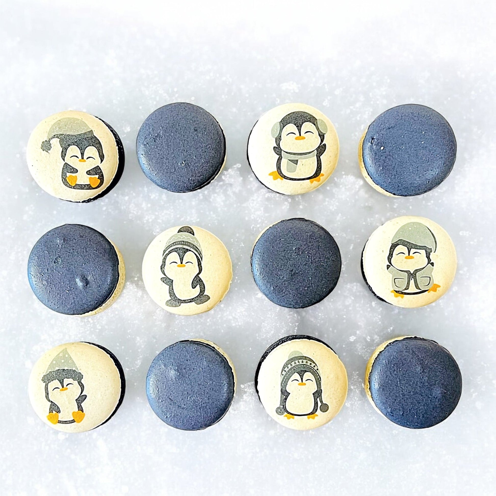 Penguin Winter Macaron Set - Grey and White - Macaron Centrale6 Pack