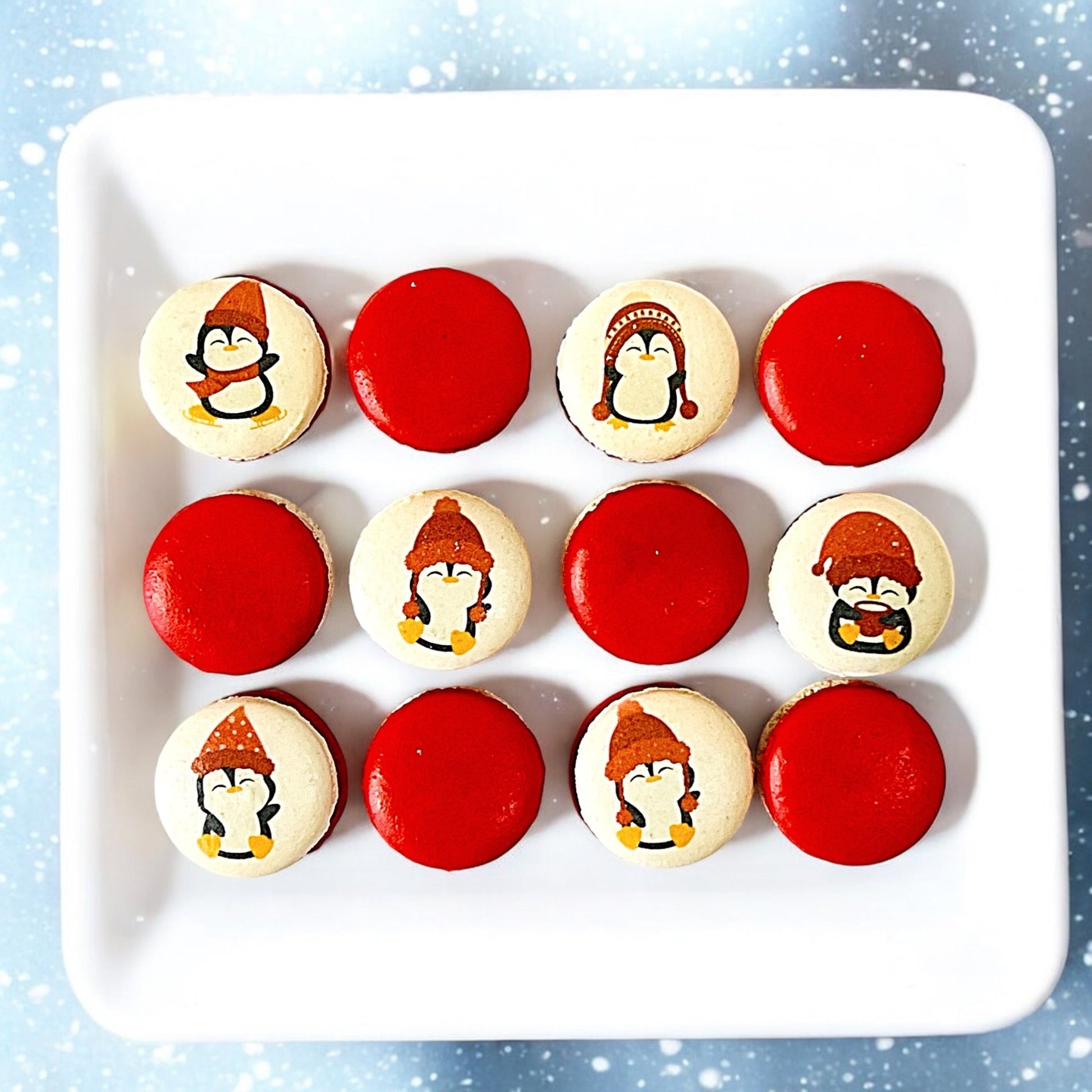 Penguin Winter Macaron Set - Red and White - Macaron Centrale6 Pack