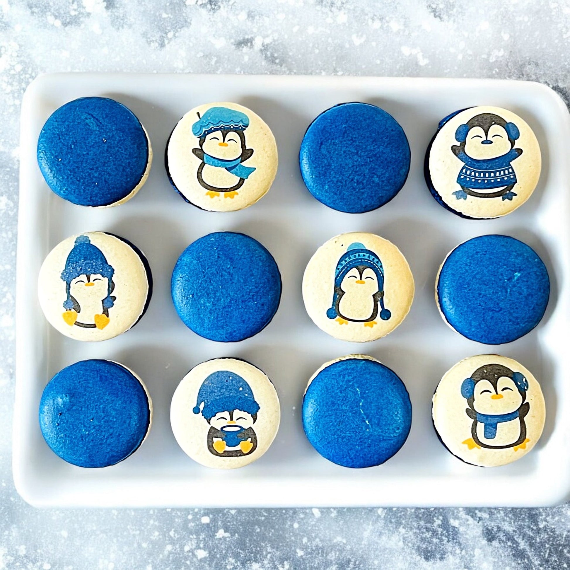 Penguin Winter Macaron Set - Sapphire Blue and White - Macaron Centrale6 Pack