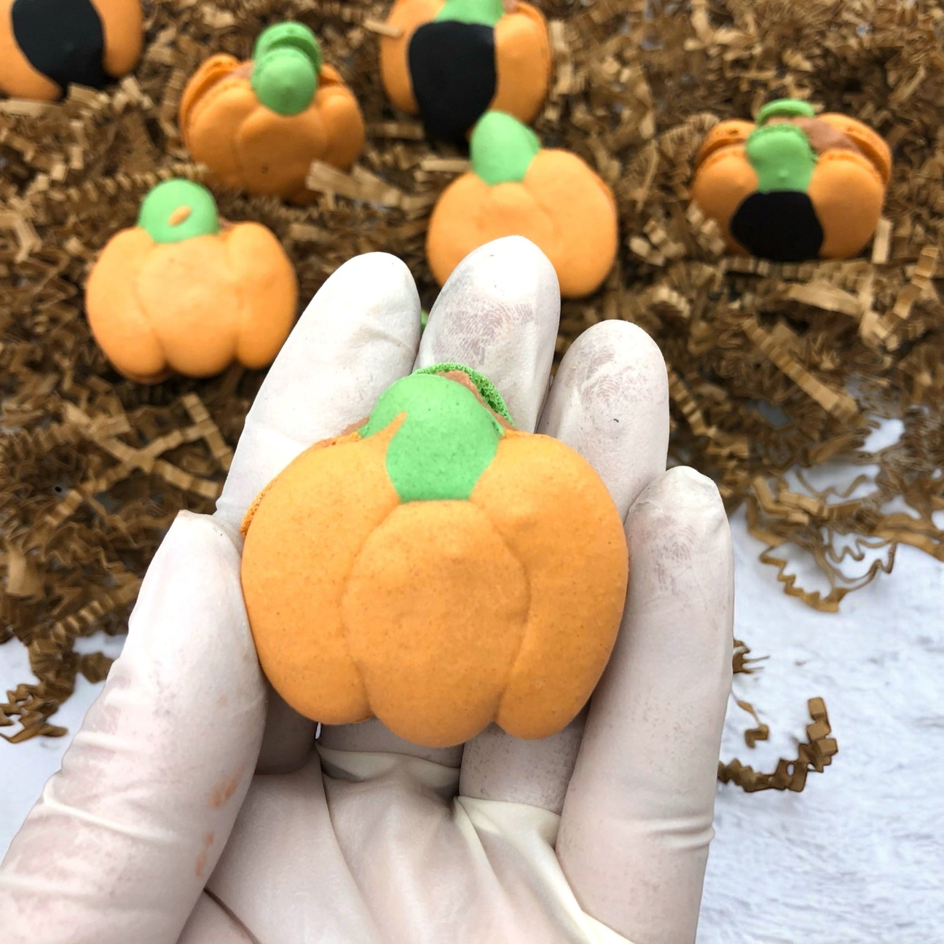 Pumpkin Patch Macarons - Customizable Flavors and Designs - Macaron Centrale6 Pack