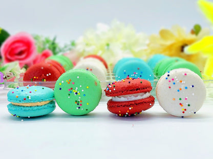 Rainbow ; French Macaron Collection; Perfect for any Occasion - Macaron Centrale12 Pack