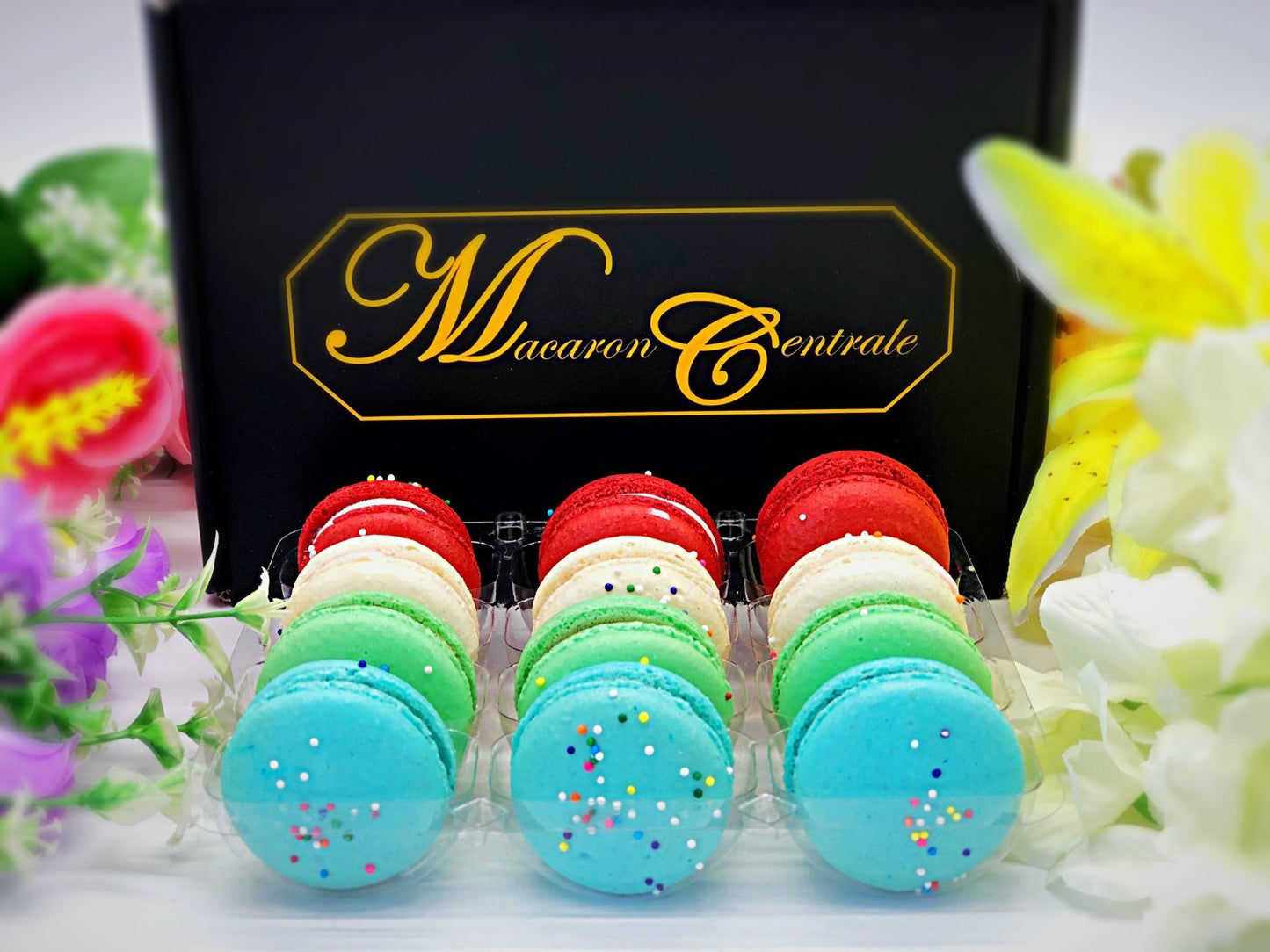 Rainbow ; French Macaron Collection; Perfect for any Occasion - Macaron Centrale12 Pack