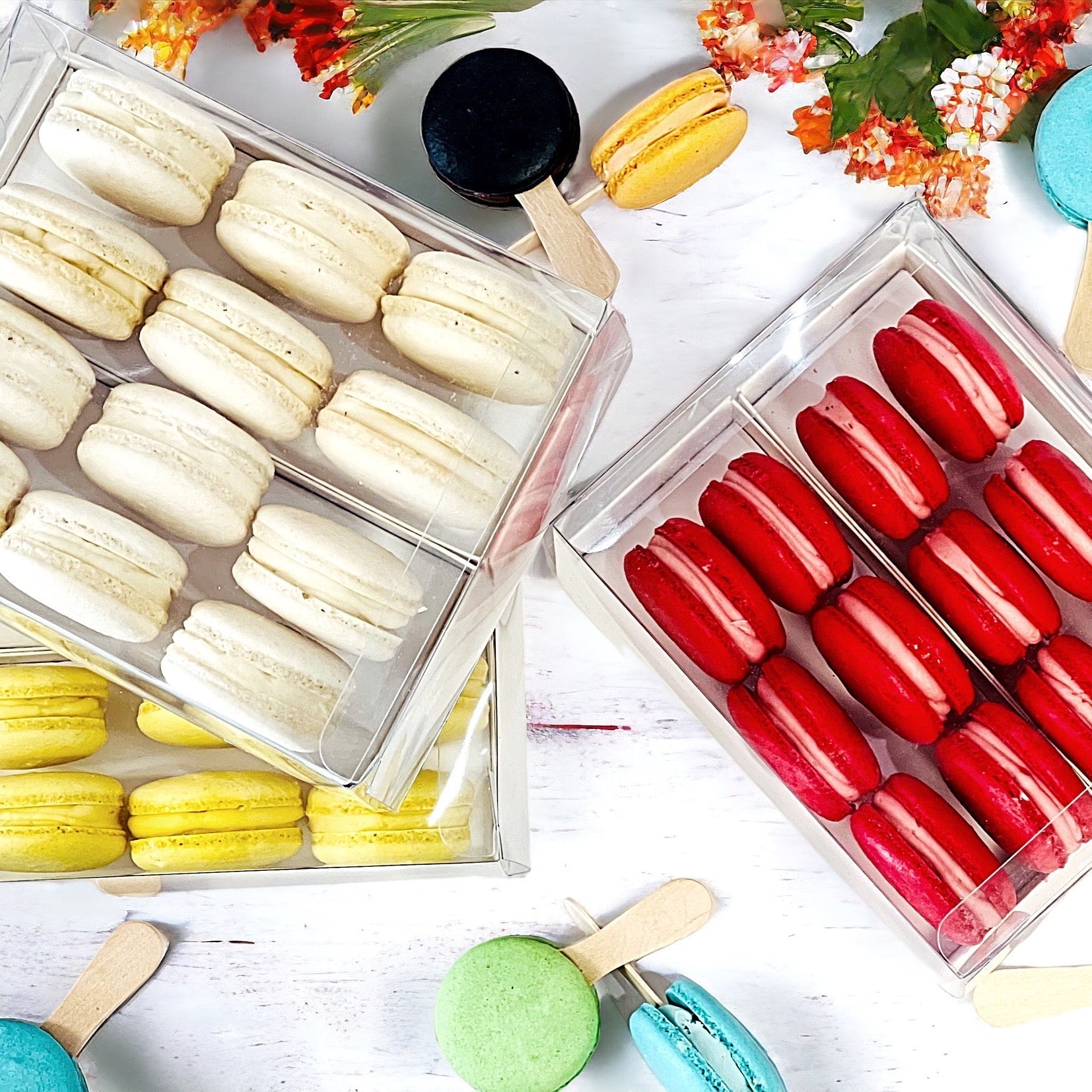 Vanilla Cream Macaron Sucettes En Gros | Available in 24 & 48 Sucettes - Macaron Centrale24 Pack