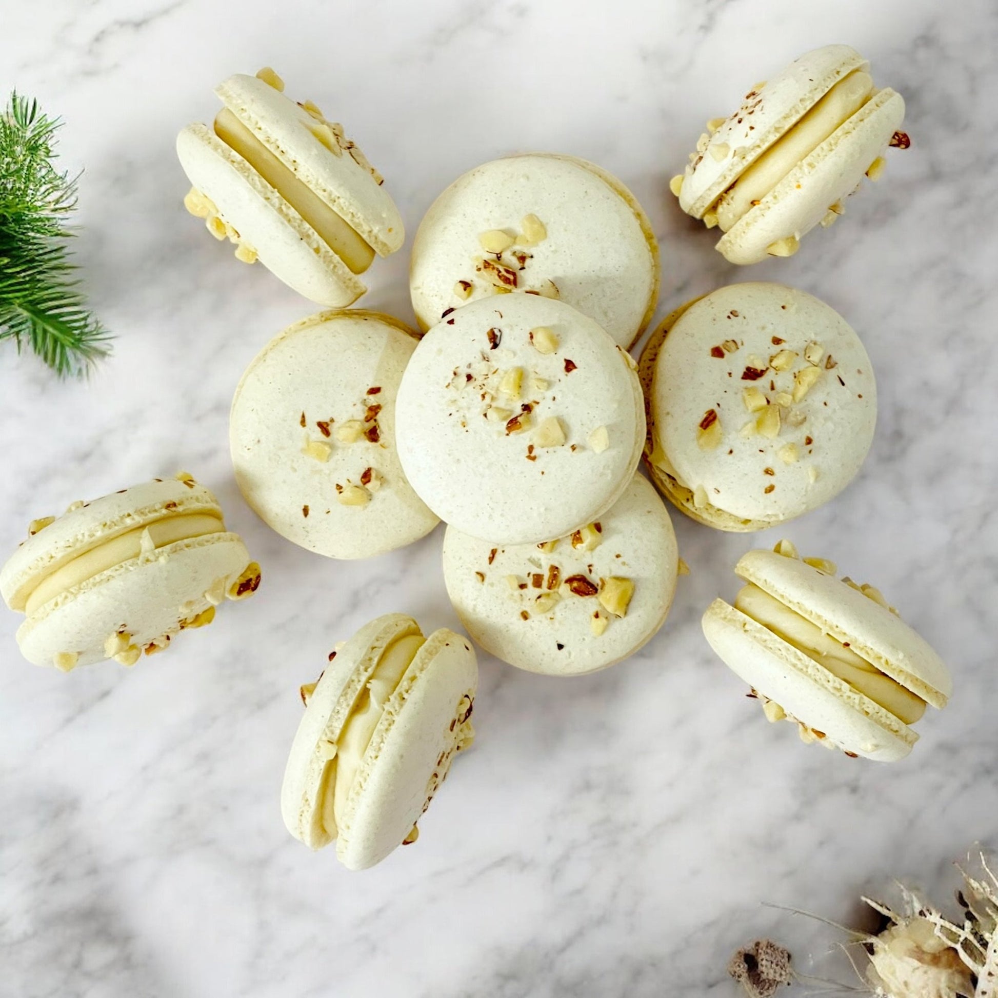 Wholesale All Natural Almond Vegan Macarons | Available in 24 & 48 Pack | A great addition for your bakery establishment or your next party - Macaron Centrale24 Pack