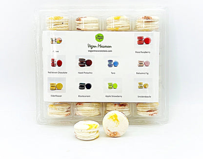 Wholesale Praline Vegan Macarons | Available in 24 & 48 Pack - Macaron Centrale24 Pack