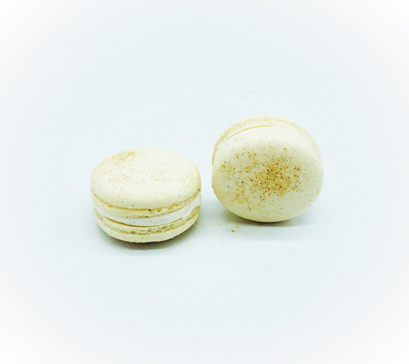 Wholesale Snickerdoodle Vegan Macarons | Available in 24 & 48 Pack | A great addition for your bakery establishment or your next party - Macaron Centrale24 Pack