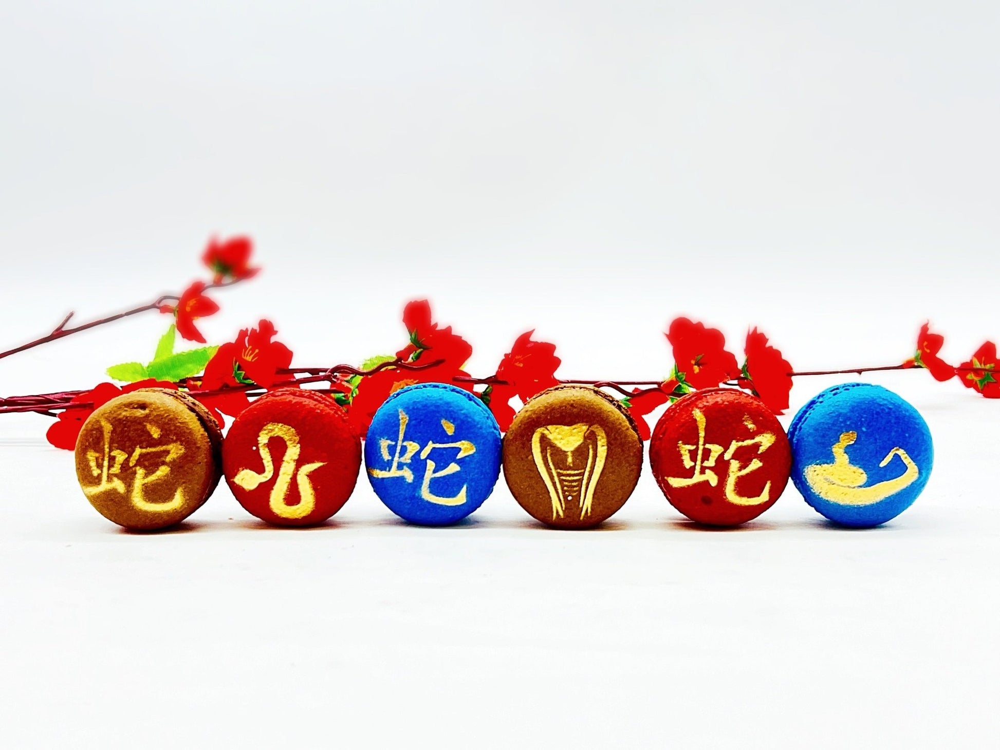 Year of The Snake | Assorted French Macaron decorated with Gold Dust - Macaron CentraleVariety6 Pack