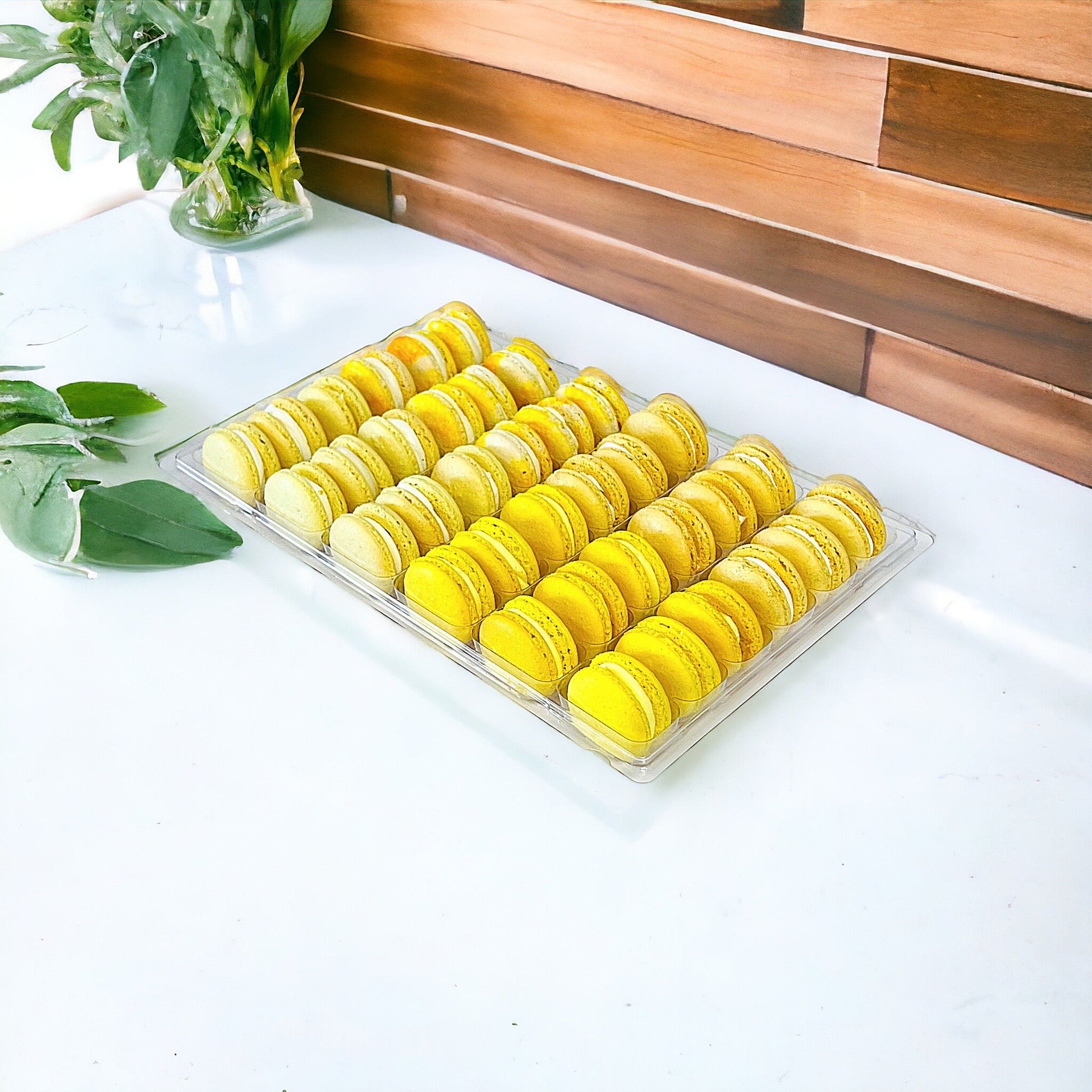 Yellow Vibe: A Flavorful Quartet of French Macarons in One Set | 36 Pack - Macaron Centrale